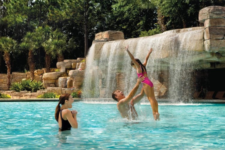 Pools at the Swan and Dolphin Resort
